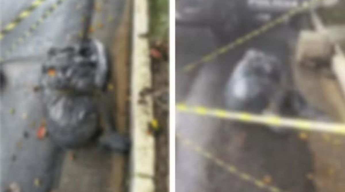 Corpos em sacos plásticos em SP: o que se apura