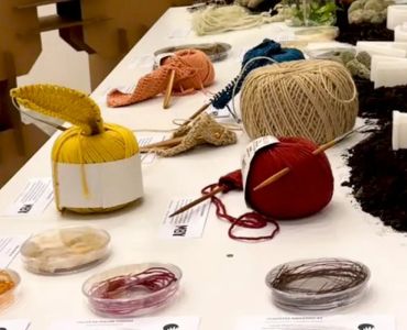 Oportunidades da Bioeconomia na Amazônia: Renda, Conservação e Tradição Cultural