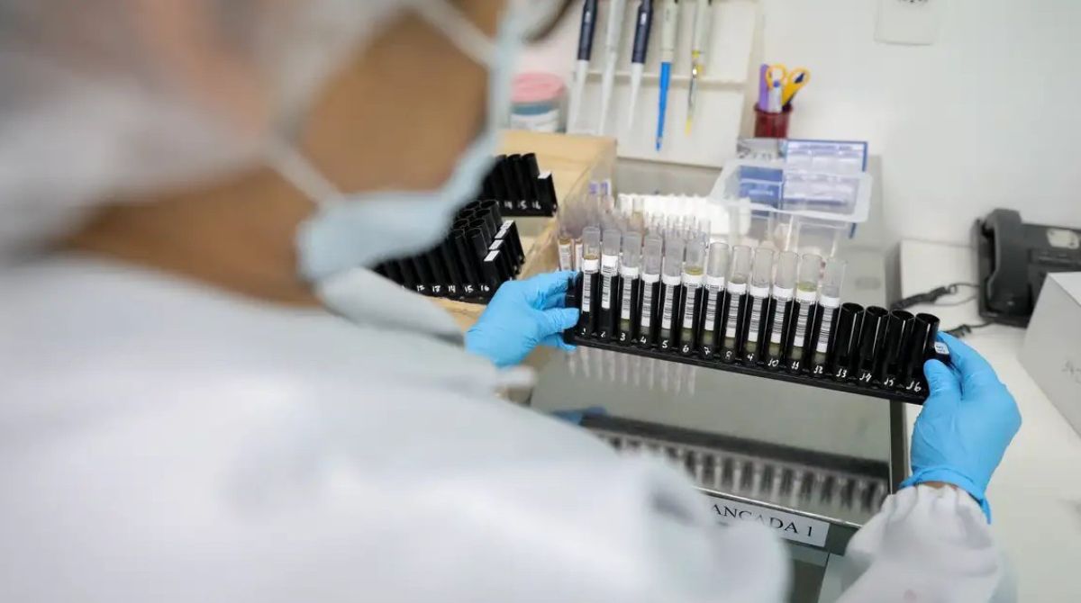 Vacina contra malária ganha aval da Anvisa para testes