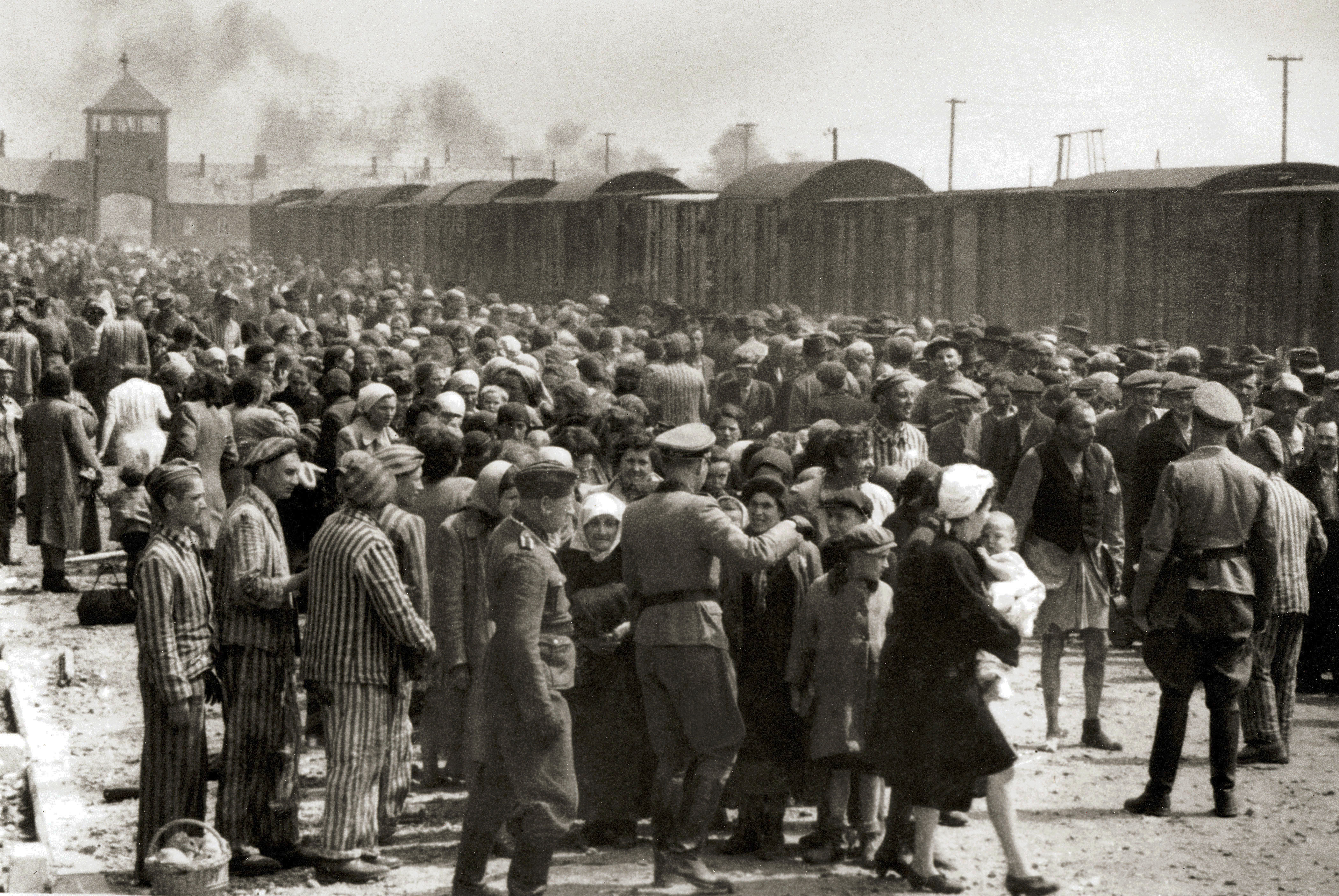 Histórias de judeus expulsos de países árabes e sua luta por reconhecimento