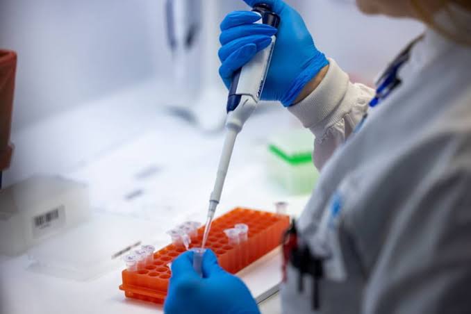 Escândalo no SUS: Pacientes Contraem HIV Após Transplante de Órgãos – O Que Aconteceu?