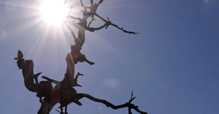 Censura, Perseguição e Seca: O Brasil em Crise