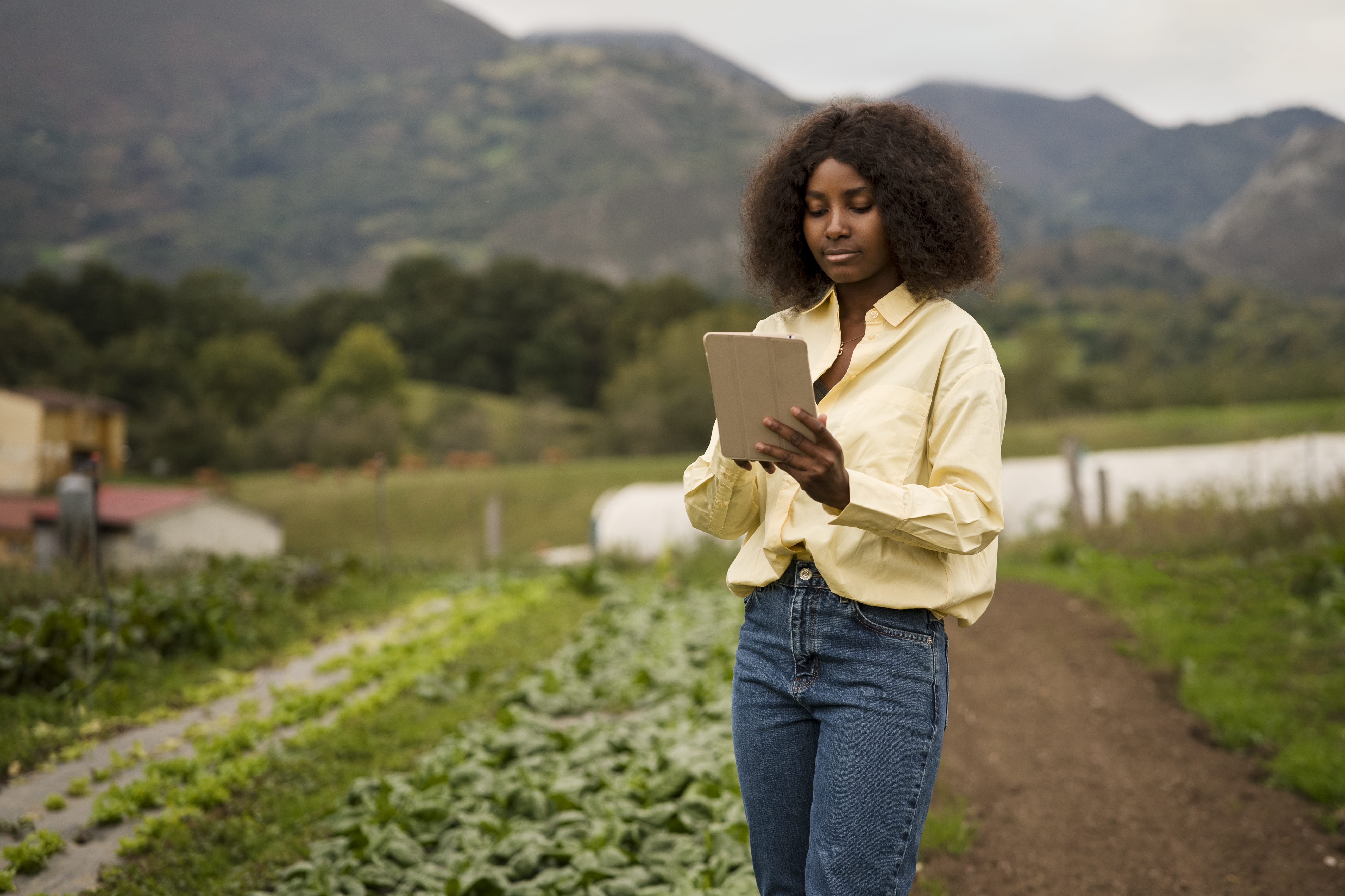 Descubra Como o Agronegócio Está Transformando a Economia Brasileira e Mudando a Sua Vida: Tudo Sobre o Programa 'A Força do Agro'!