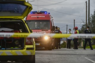 Criança de três anos é mordida por cão e precisa de hospitalização em Lisboa