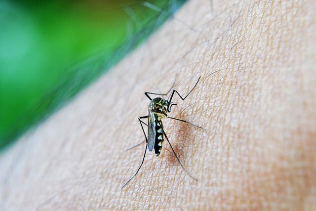 Estado de Emergência em 21 Cidades de SP devido ao Aumento de Casos de Dengue em 2025