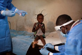 Surto de doença desconhecida na RD Congo provoca mais de 50 mortes após consumo de morcegos