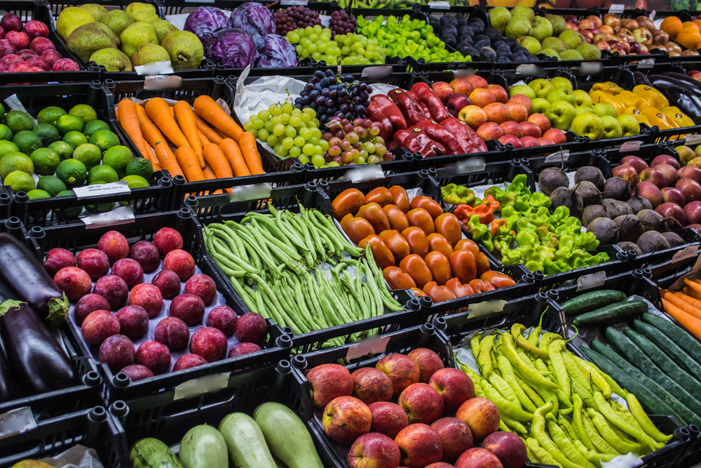 A Crise da Insegurança Alimentar no Brasil: Fome e Dependência do Bolsa Família em Debate