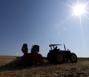 Indígenas do Brasil Lutam pelo Direito de Cultivar Transgênicos Sem Restrições
