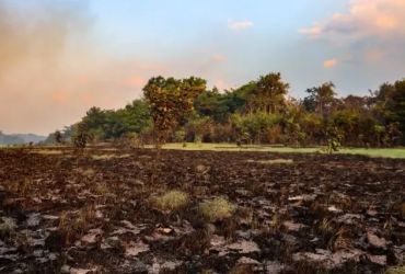Queimadas no Amazonas: bombeiros cobram apoio federal