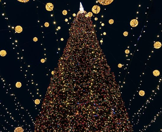 Programação Cultural de Natal: Concertos e Reflexões em Lisboa e Porto