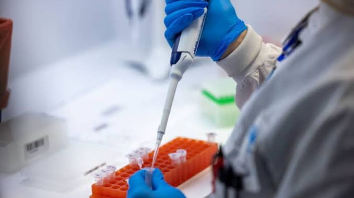 Escândalo no SUS: Pacientes Contraem HIV Após Transplante de Órgãos – O Que Aconteceu?